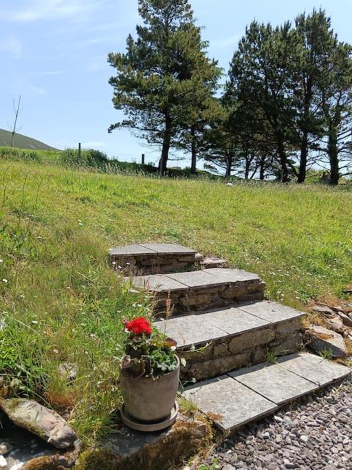 Dingle Escape -2 Bed -Sleeps 4 Daire Dış mekan fotoğraf