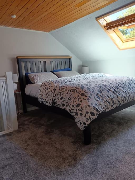 Dingle Escape -2 Bed -Sleeps 4 Daire Dış mekan fotoğraf